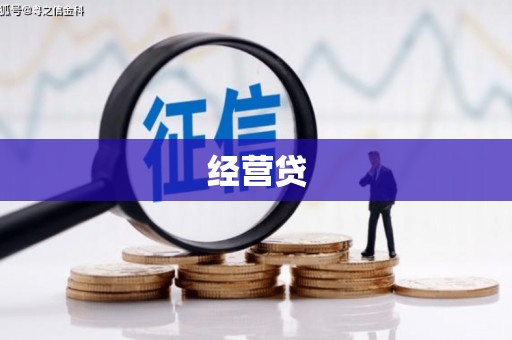 林甸经营贷