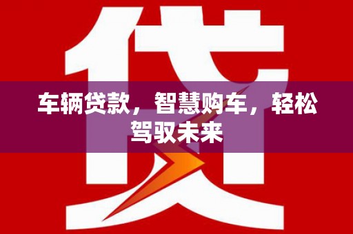 林甸车辆贷款，智慧购车，轻松驾驭未来