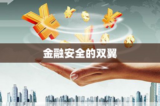 林甸金融安全的双翼
