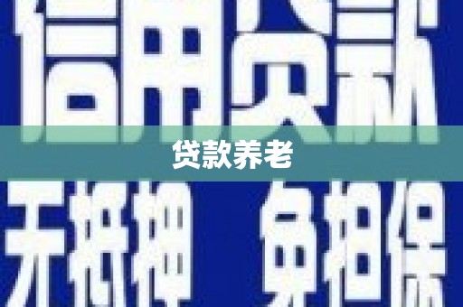 林甸贷款养老