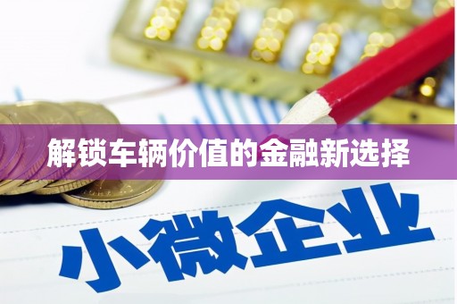 林甸解锁车辆价值的金融新选择