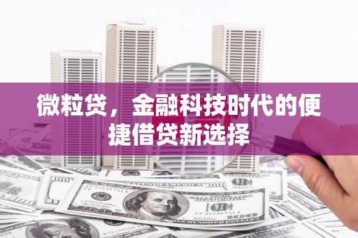 林甸微粒贷，金融科技时代的便捷借贷新选择