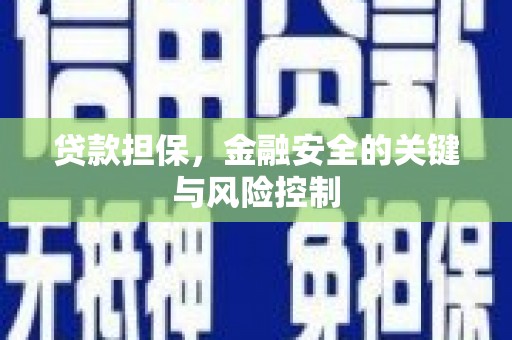 林甸贷款担保，金融安全的关键与风险控制