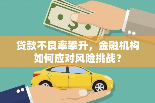 林甸贷款不良率攀升，金融机构如何应对风险挑战？