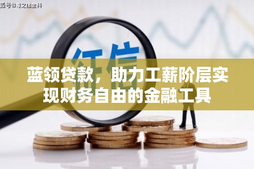 林甸蓝领贷款，助力工薪阶层实现财务自由的金融工具