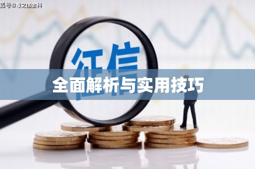 林甸全面解析与实用技巧