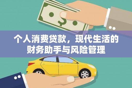 林甸个人消费贷款，现代生活的财务助手与风险管理