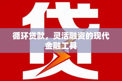 林甸循环贷款，灵活融资的现代金融工具