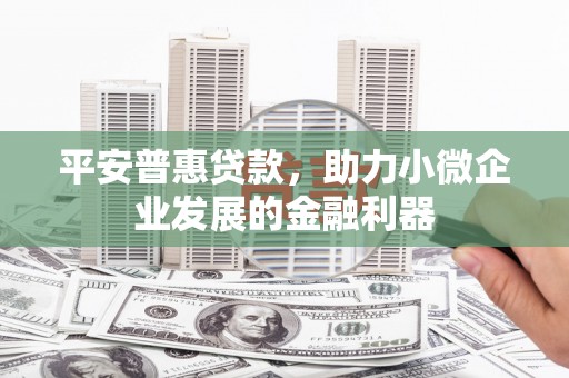 林甸平安普惠贷款，助力小微企业发展的金融利器