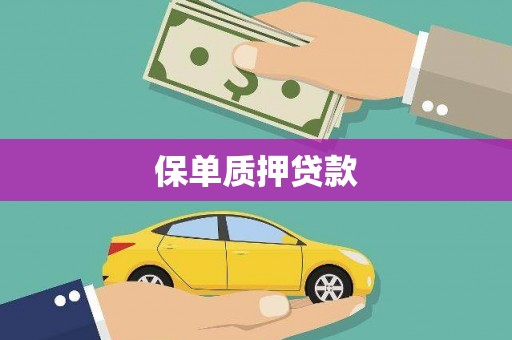 林甸保单质押贷款