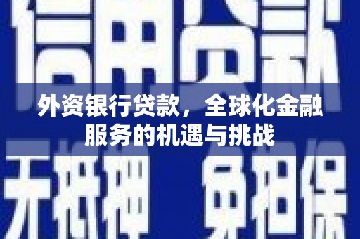 林甸外资银行贷款，全球化金融服务的机遇与挑战