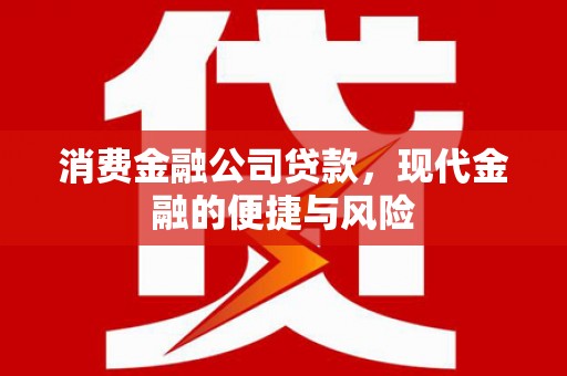 林甸消费金融公司贷款，现代金融的便捷与风险