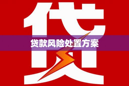 林甸贷款风险处置方案