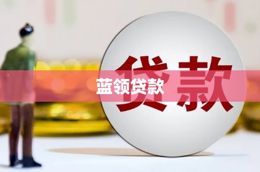 林甸蓝领贷款