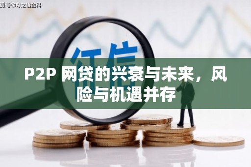 林甸P2P 网贷的兴衰与未来，风险与机遇并存