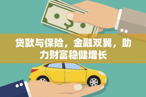 林甸贷款与保险，金融双翼，助力财富稳健增长