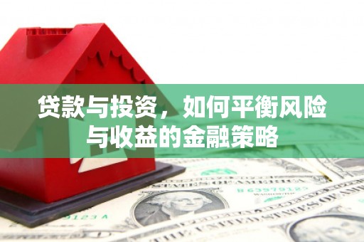 林甸贷款与投资，如何平衡风险与收益的金融策略
