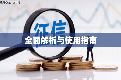 林甸全面解析与使用指南