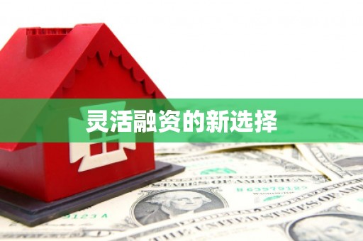 林甸灵活融资的新选择