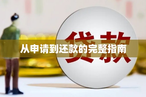 林甸从申请到还款的完整指南