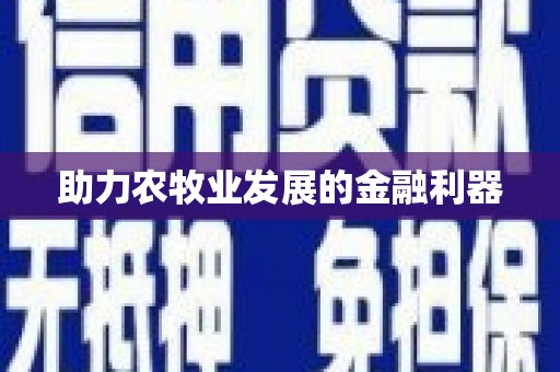 林甸助力农牧业发展的金融利器