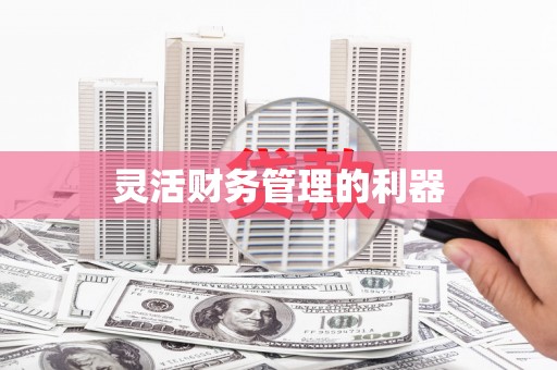 林甸灵活财务管理的利器