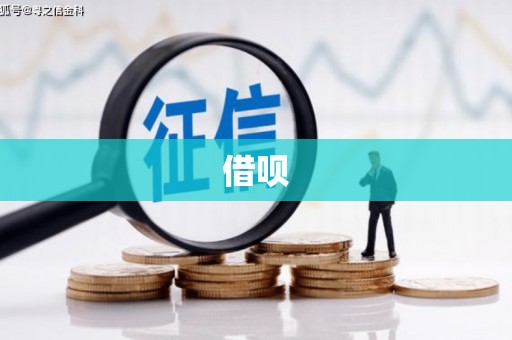 林甸借呗