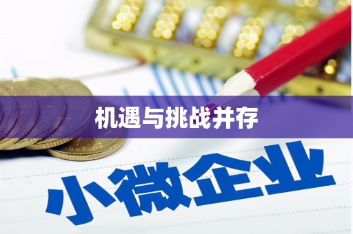 林甸机遇与挑战并存