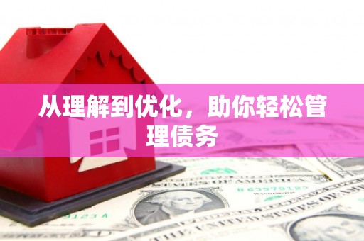 林甸从理解到优化，助你轻松管理债务