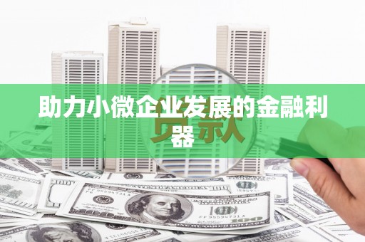 林甸助力小微企业发展的金融利器