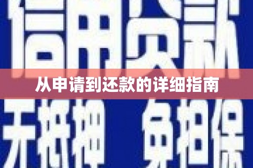 林甸从申请到还款的详细指南