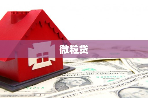 林甸微粒贷