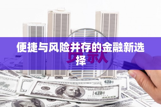 林甸便捷与风险并存的金融新选择