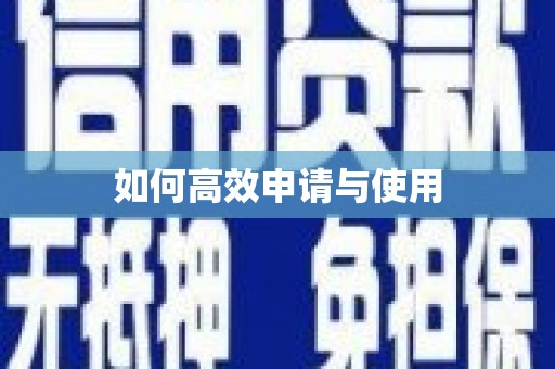 林甸如何高效申请与使用
