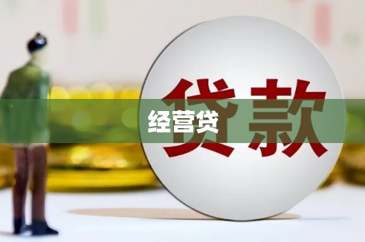 林甸经营贷