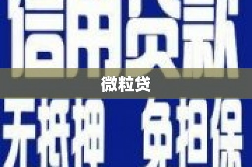 林甸微粒贷