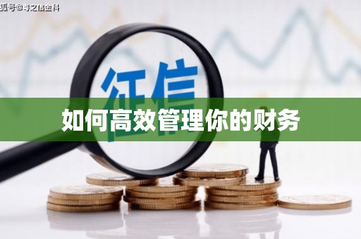 林甸如何高效管理你的财务