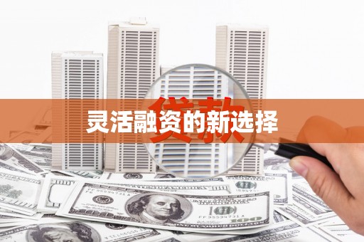 林甸灵活融资的新选择