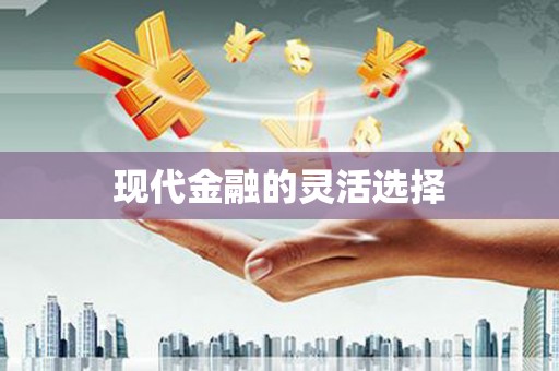 林甸现代金融的灵活选择