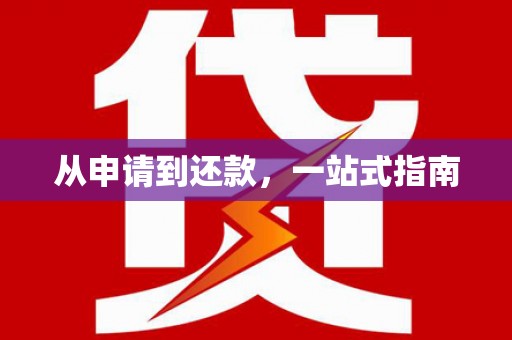 林甸从申请到还款，一站式指南