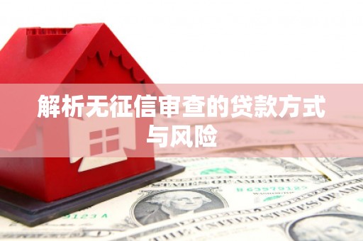林甸解析无征信审查的贷款方式与风险