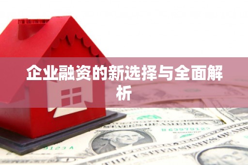 林甸企业融资的新选择与全面解析