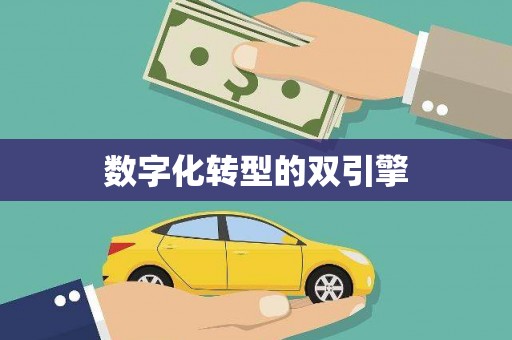 林甸数字化转型的双引擎