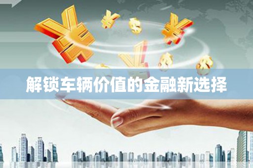 林甸解锁车辆价值的金融新选择