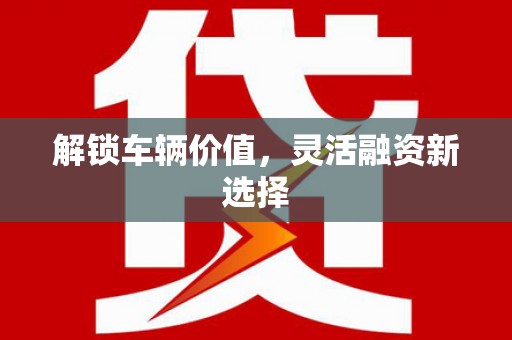 林甸解锁车辆价值，灵活融资新选择