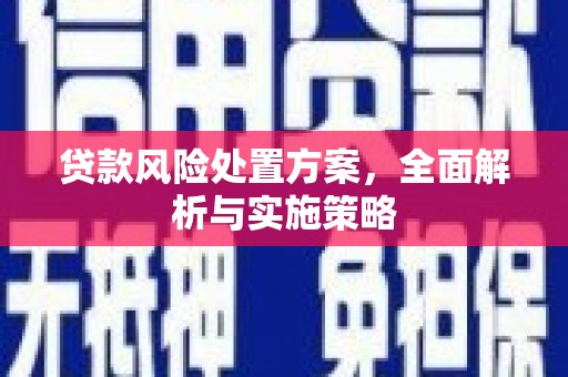 林甸贷款风险处置方案，全面解析与实施策略