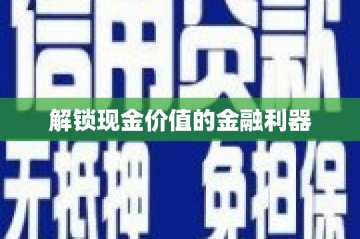 林甸解锁现金价值的金融利器