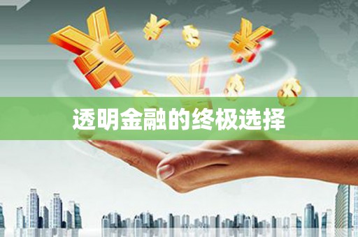 林甸透明金融的终极选择