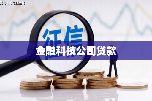 林甸金融科技公司贷款