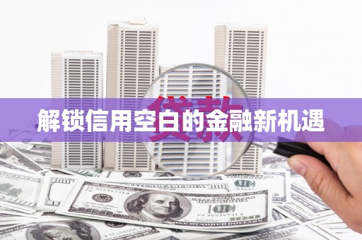 林甸解锁信用空白的金融新机遇